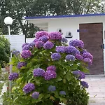 Neptun Pensionat 3*