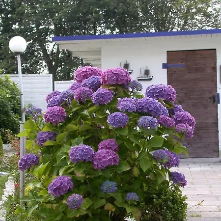 Neptun Casa de hóspedes 3*