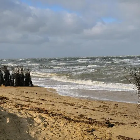 Neptun Affittacamere